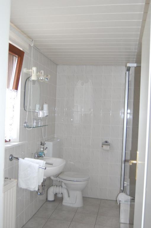 דרזדן Hotel Zum Nussbaum חדר תמונה
